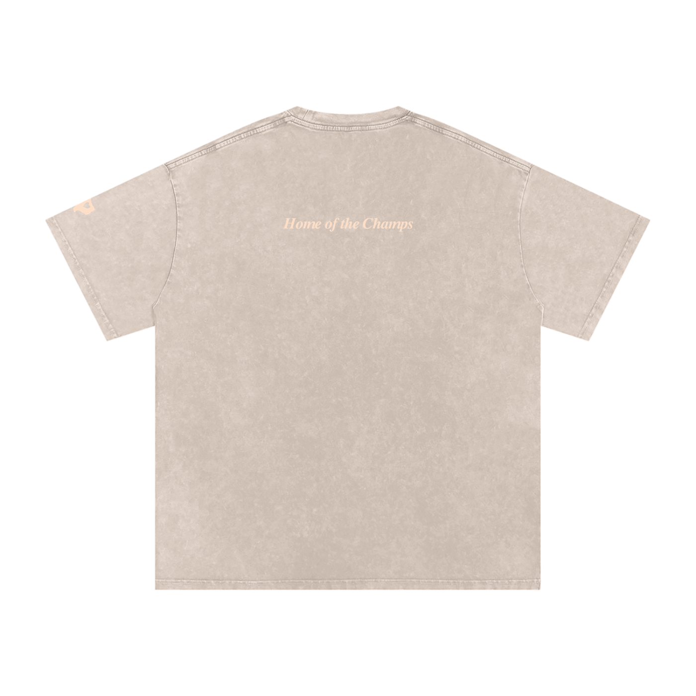Unisex Champs Washed Oversized Cotton Tee