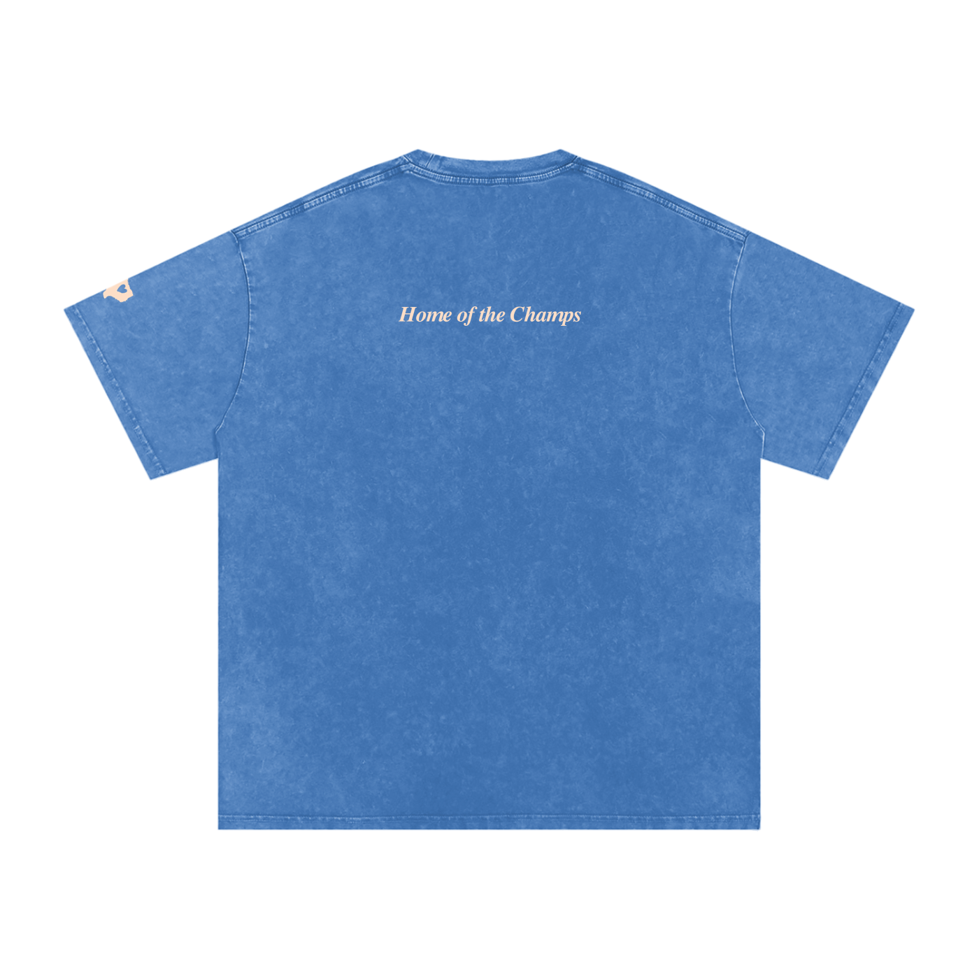 Unisex Champs Washed Oversized Cotton Tee