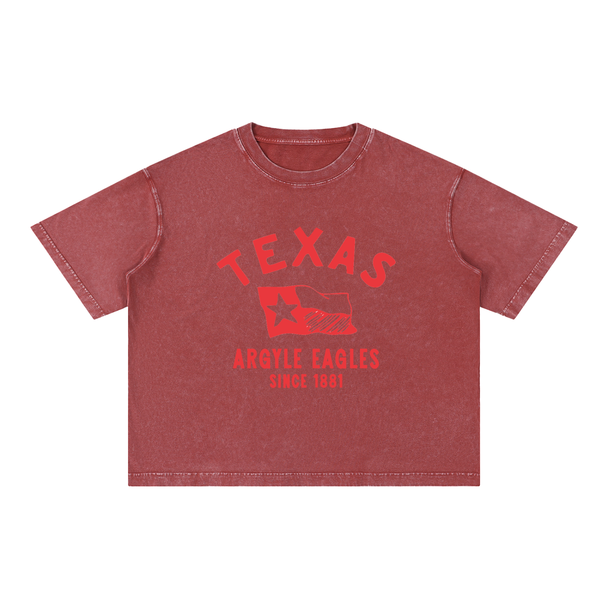 Argyle Eagles Mineral Wash Boxy Cotton Tee