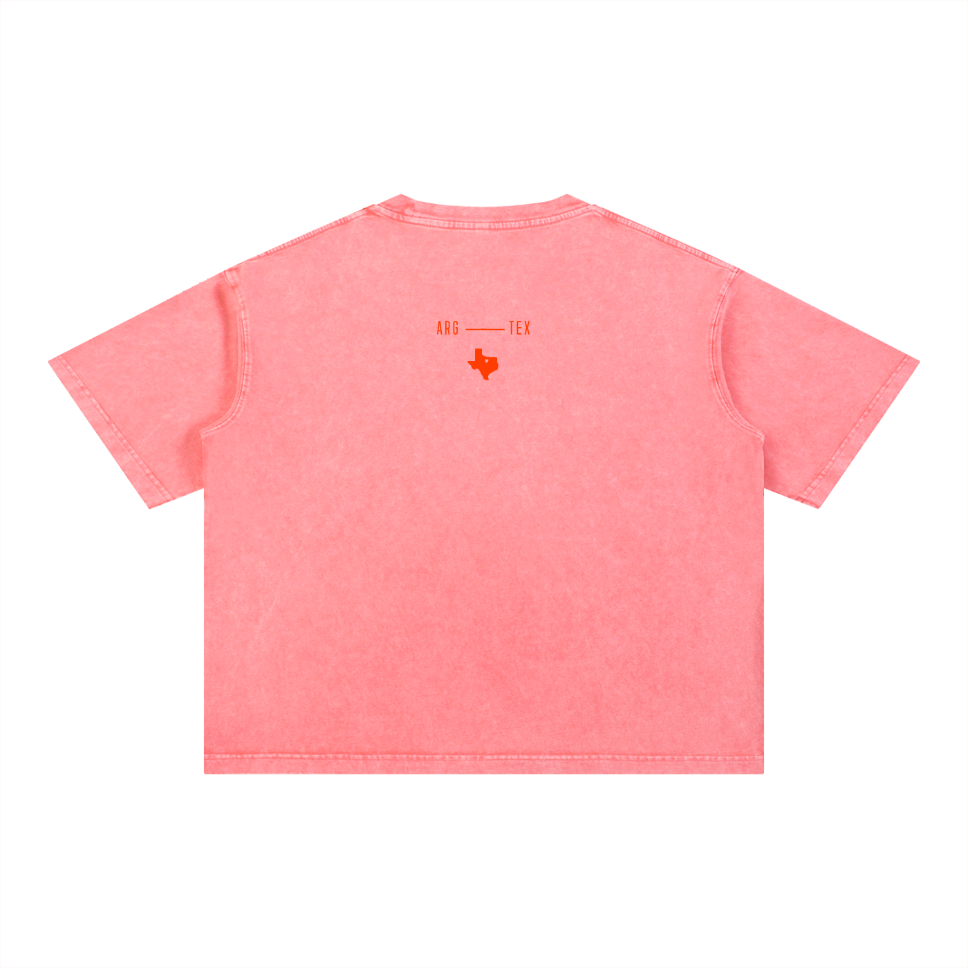 Argyle Local Mineral Wash Boxy Cotton Tee