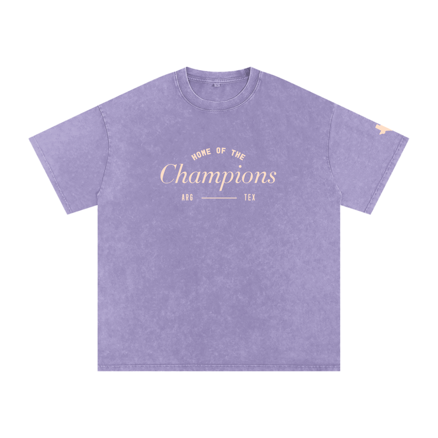 Unisex Champs Washed Oversized Cotton Tee