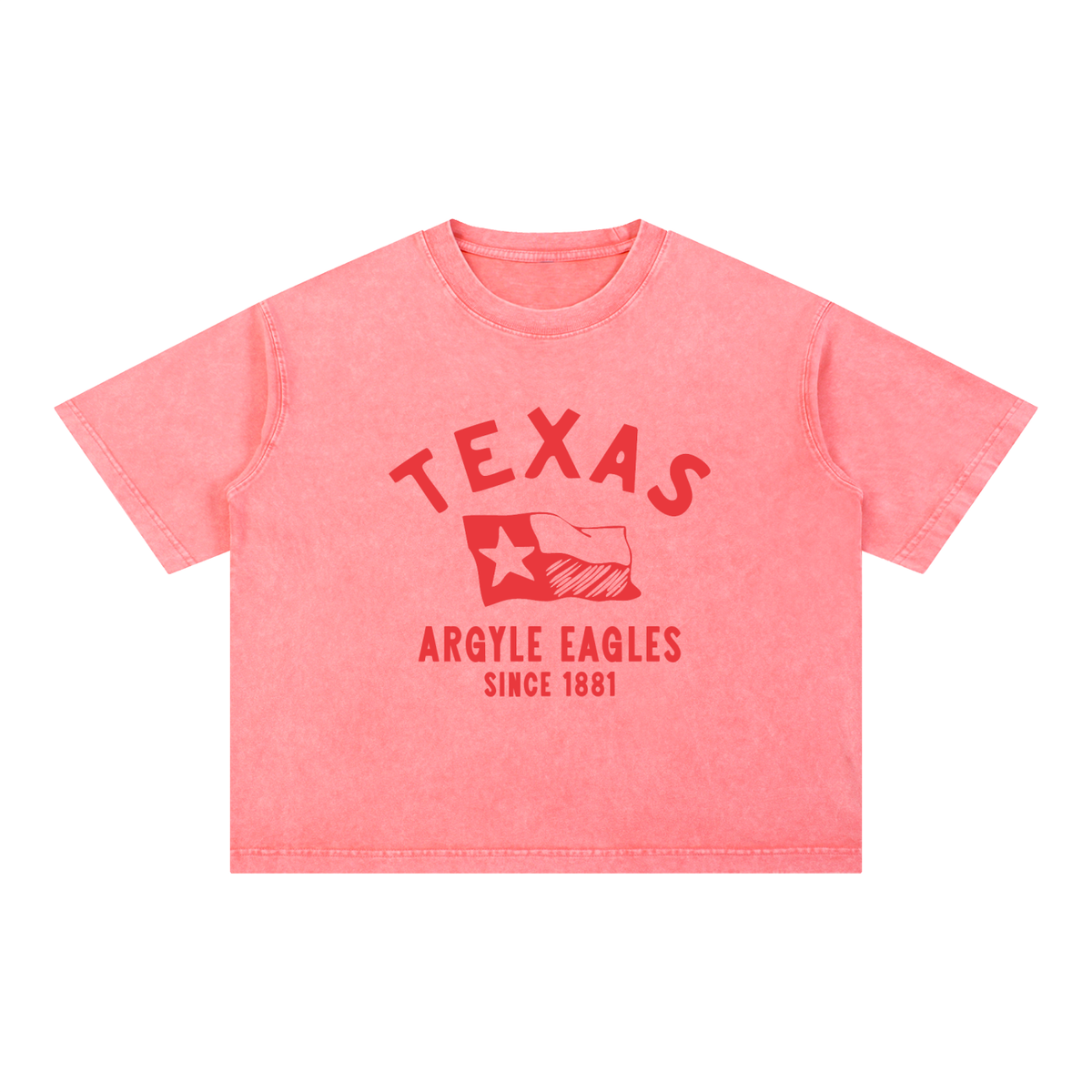 Argyle Eagles Mineral Wash Boxy Cotton Tee
