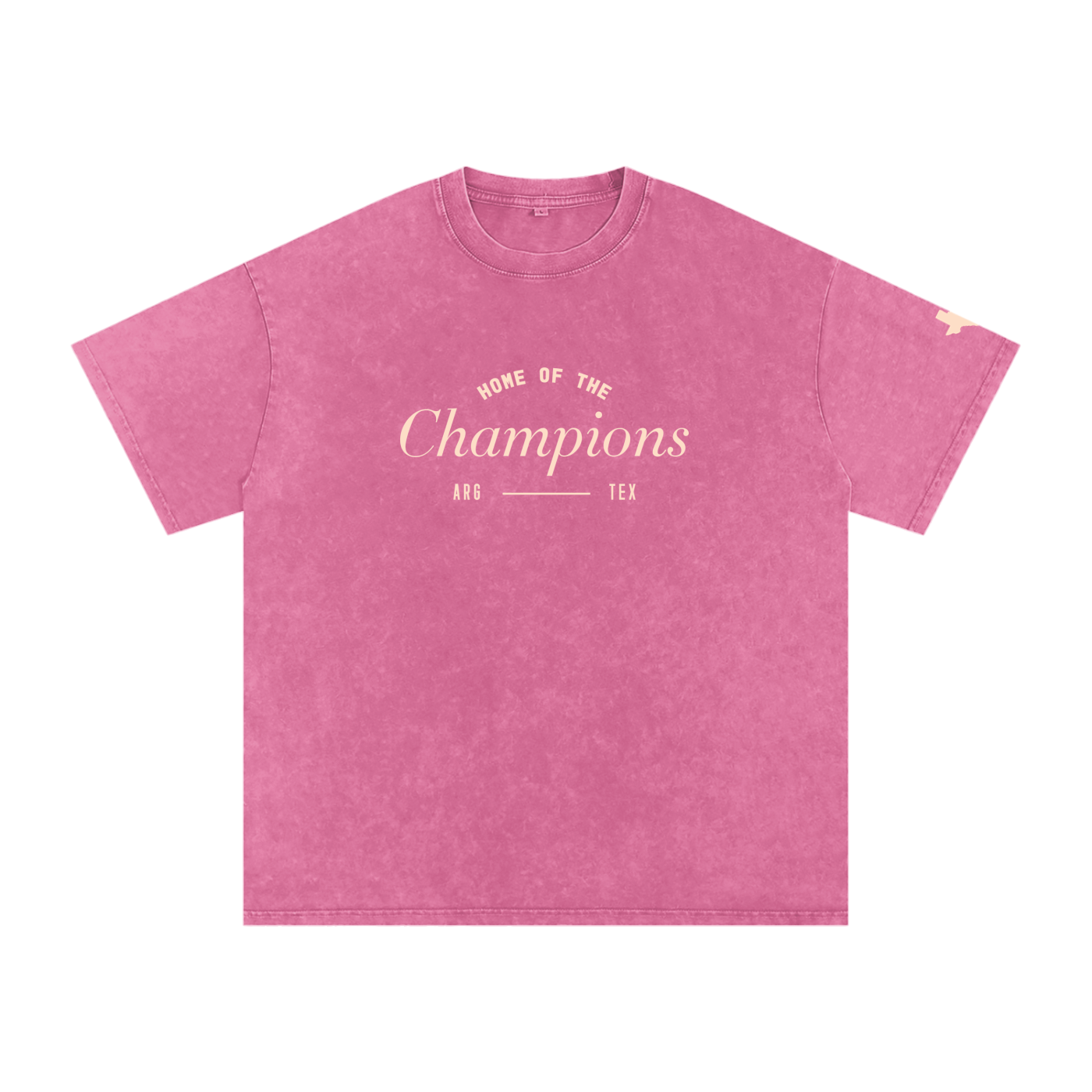 Unisex Champs Washed Oversized Cotton Tee