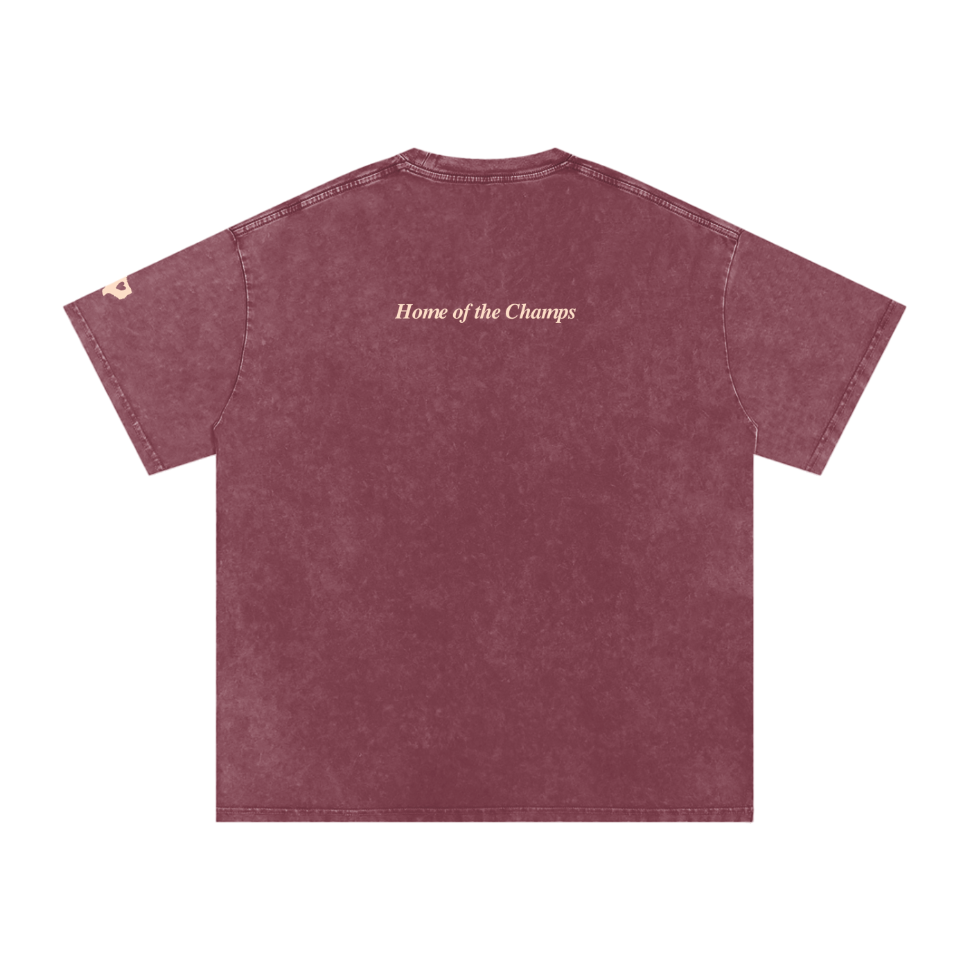 Unisex Champs Washed Oversized Cotton Tee