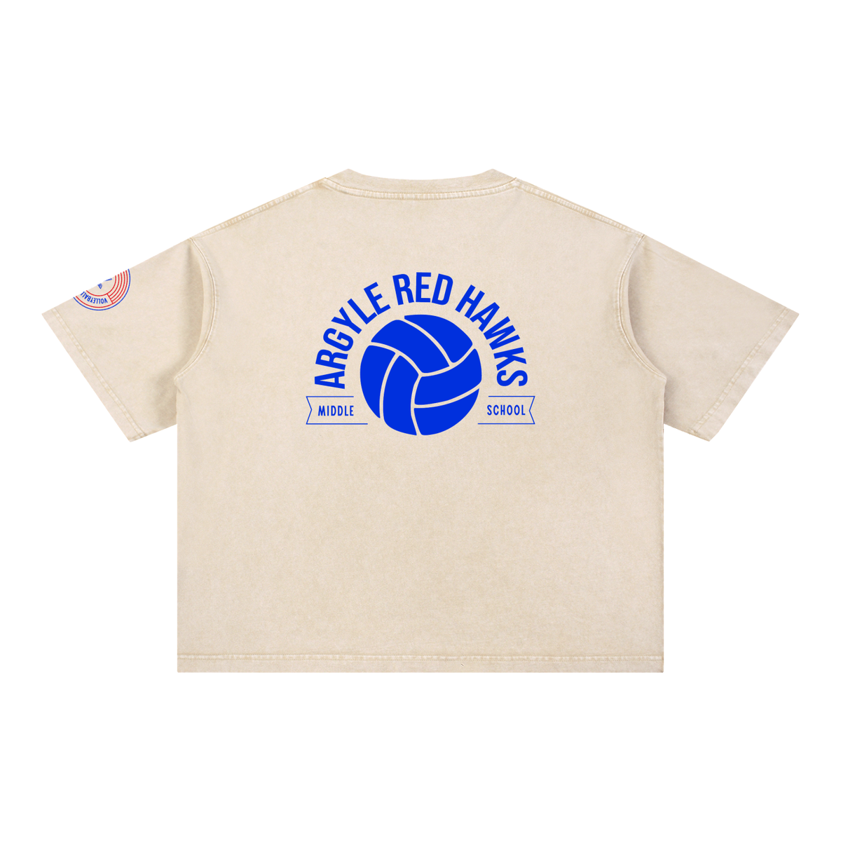 Womens AMS Volleyball Wash Boxy Cotton T-Shirt