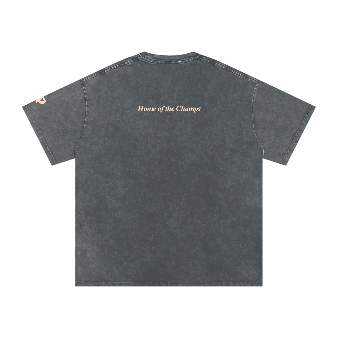 Unisex Champs Washed Oversized Cotton Tee