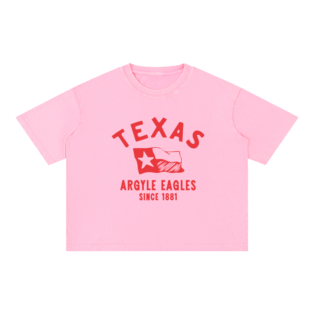Argyle Eagles Mineral Wash Boxy Cotton Tee