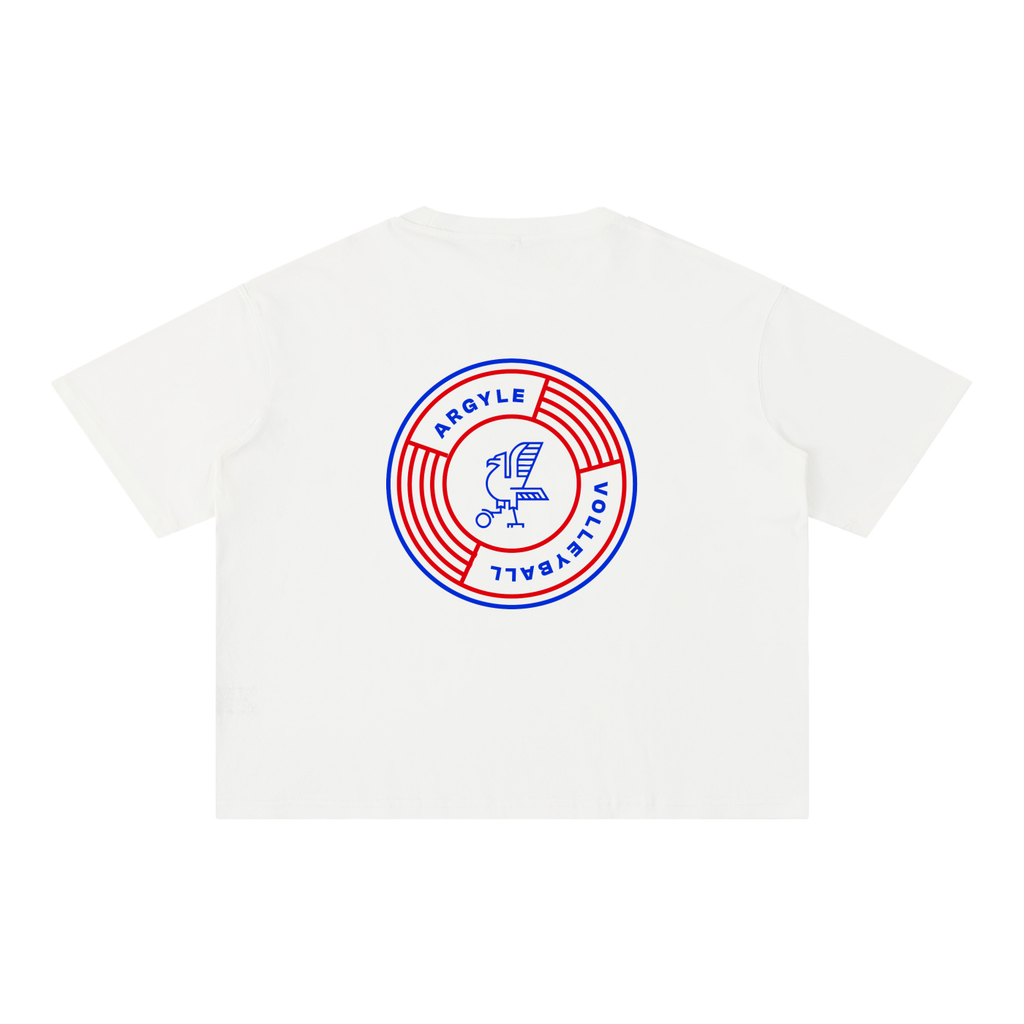Argyle Volleyball Mineral Wash Boxy Cotton Tee