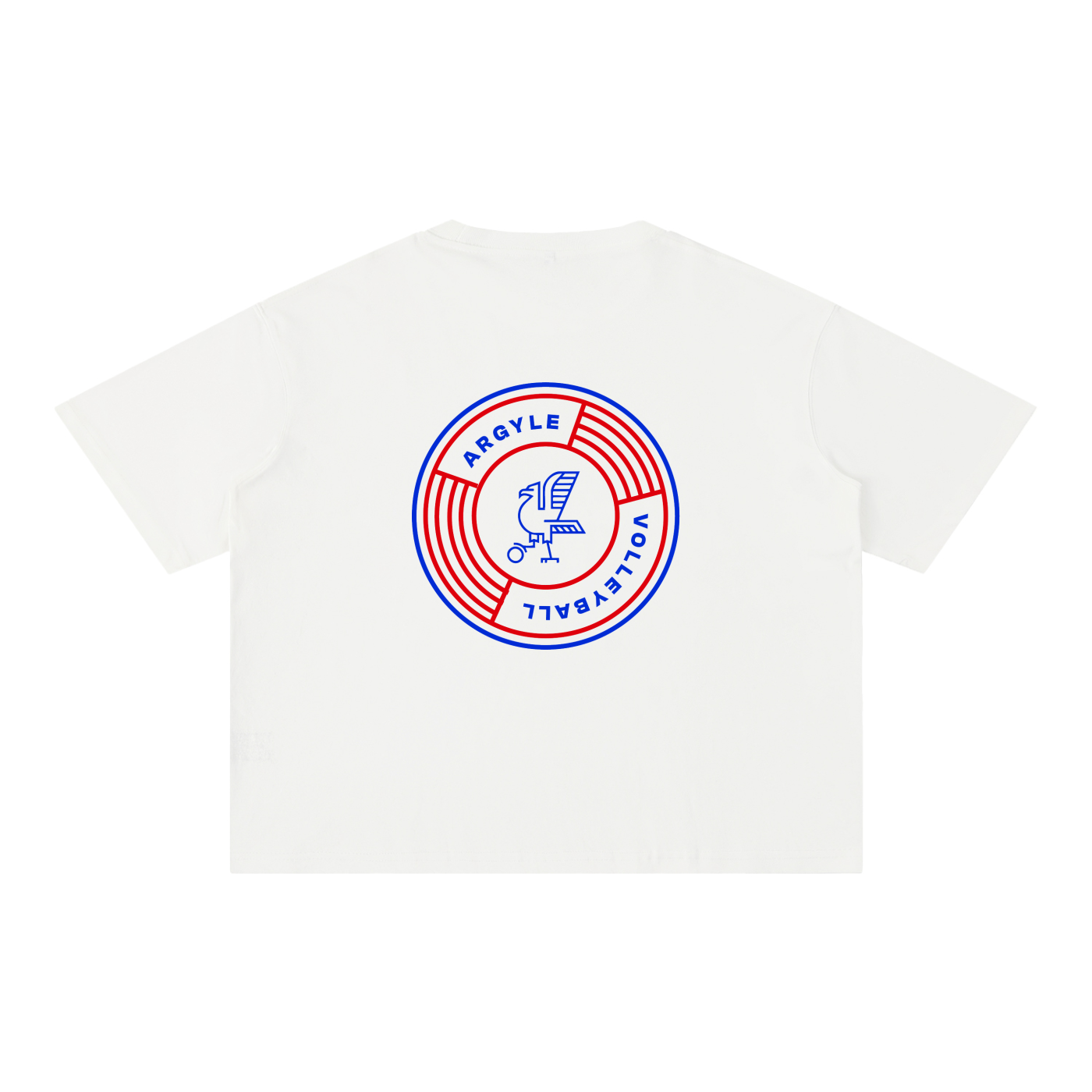 Argyle Volleyball Mineral Wash Boxy Cotton Tee