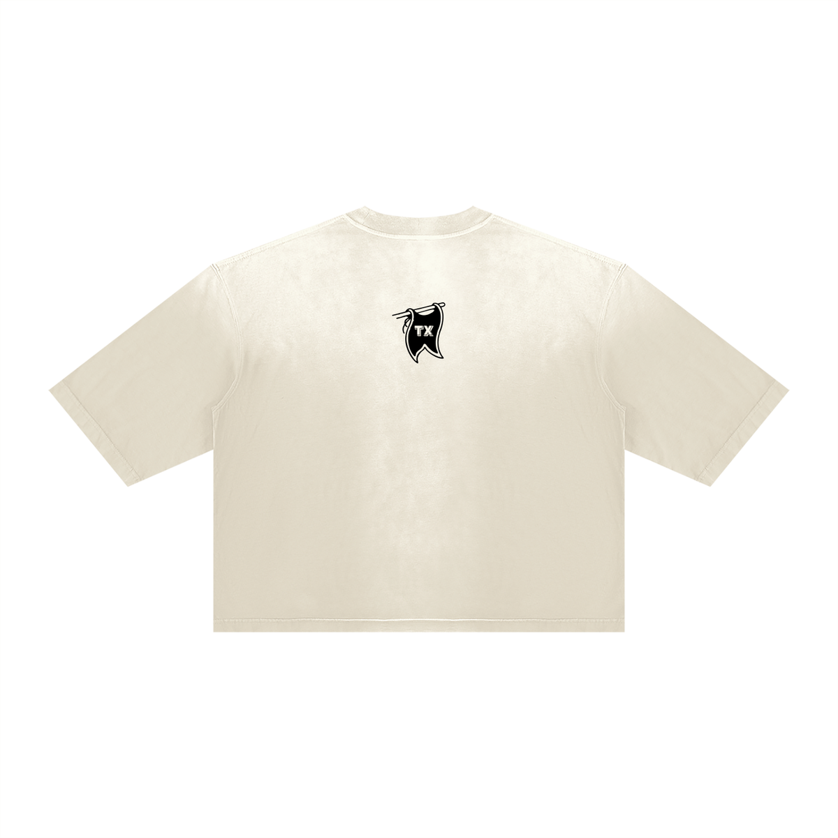 Argyle Champs Vintage Wash Sunfade Boxy Tee