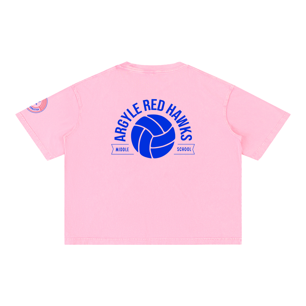 Womens AMS Volleyball Wash Boxy Cotton T-Shirt