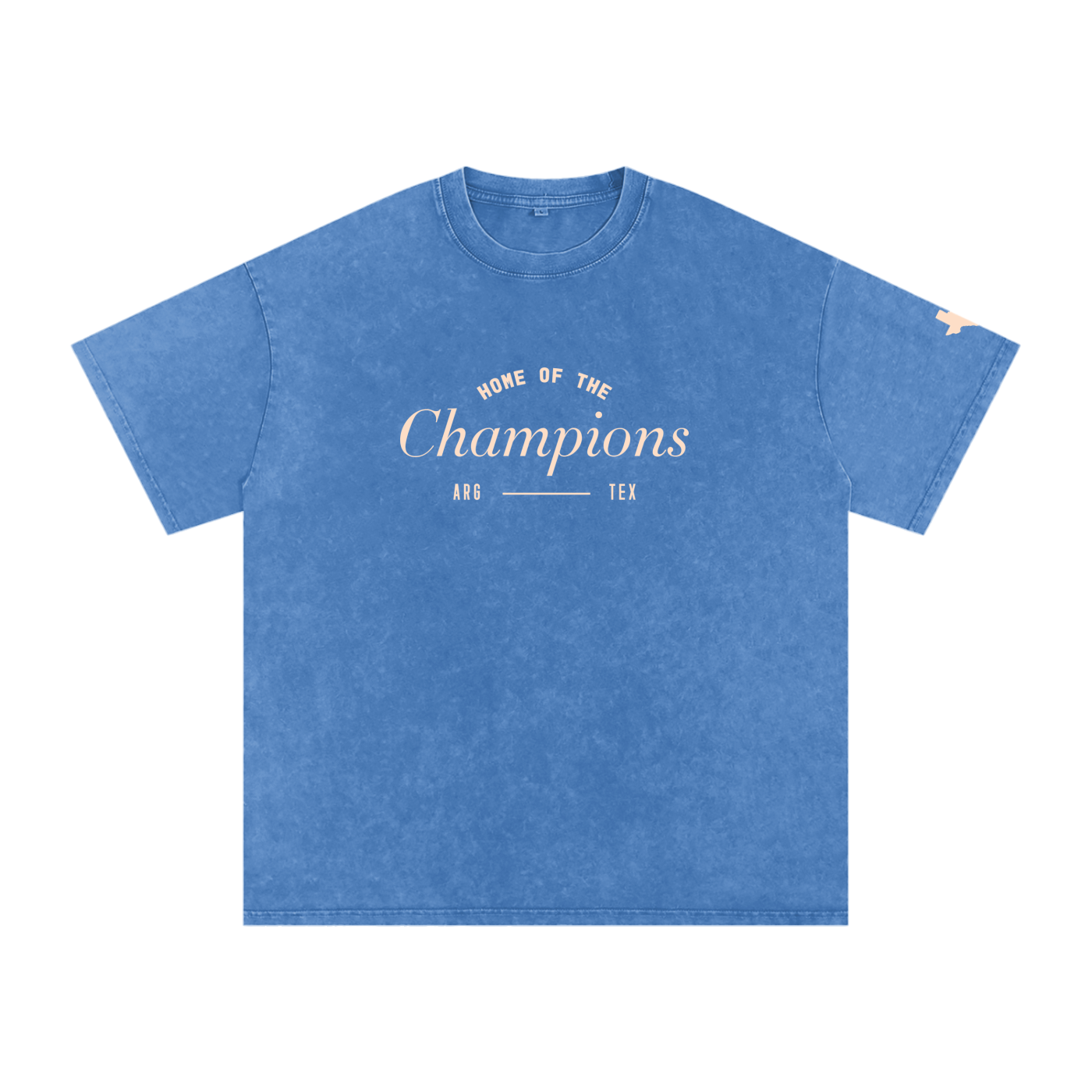 Unisex Champs Washed Oversized Cotton Tee