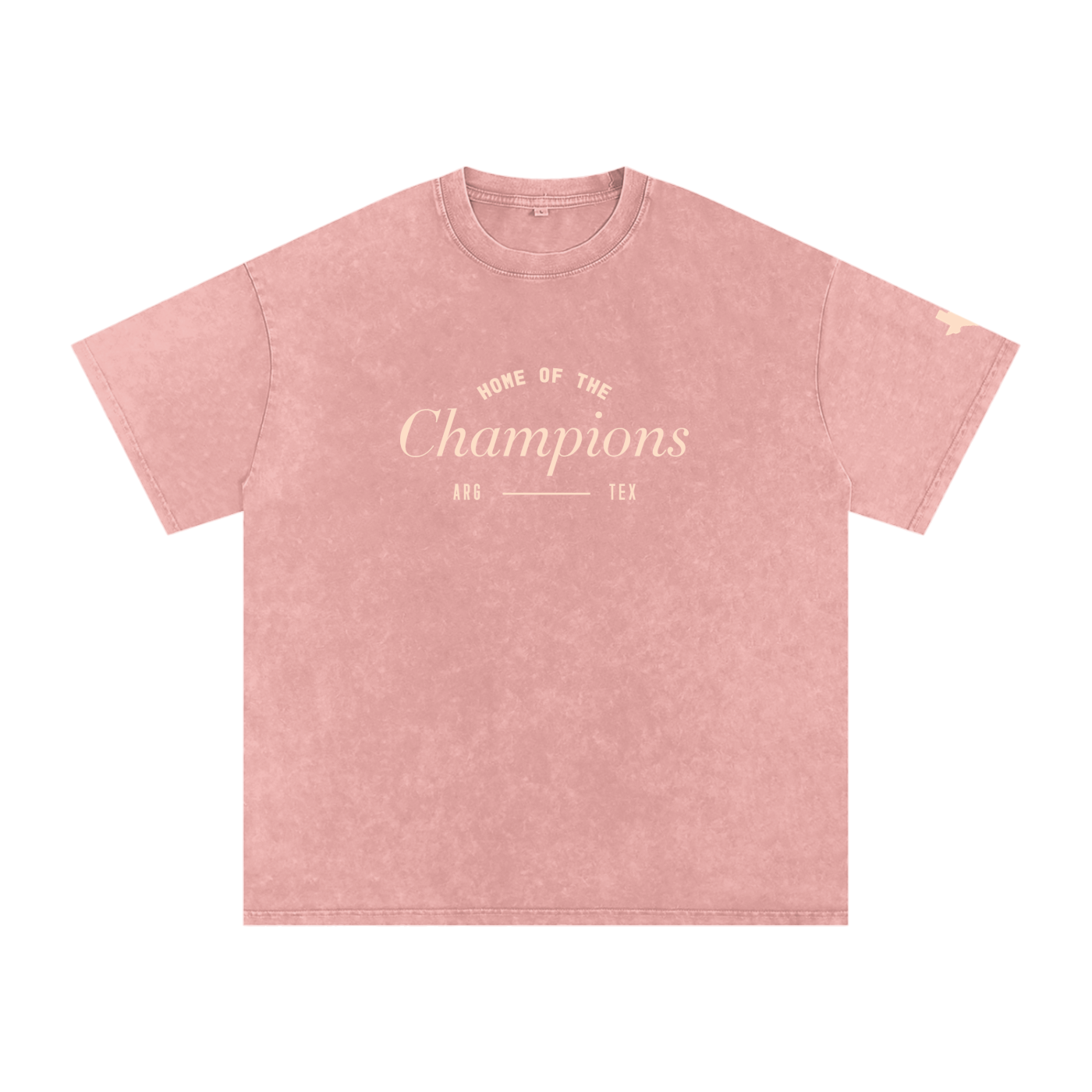 Unisex Champs Washed Oversized Cotton Tee