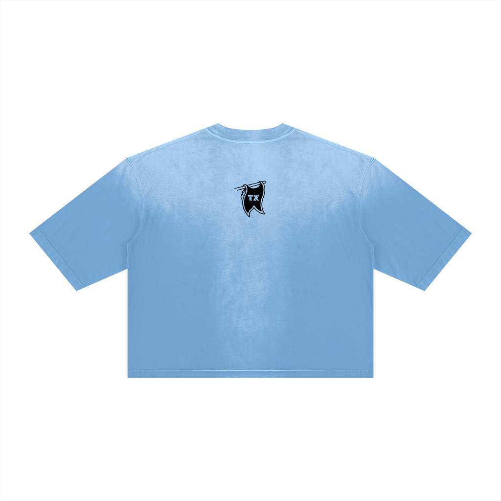 Argyle Champs Vintage Wash Sunfade Boxy Tee