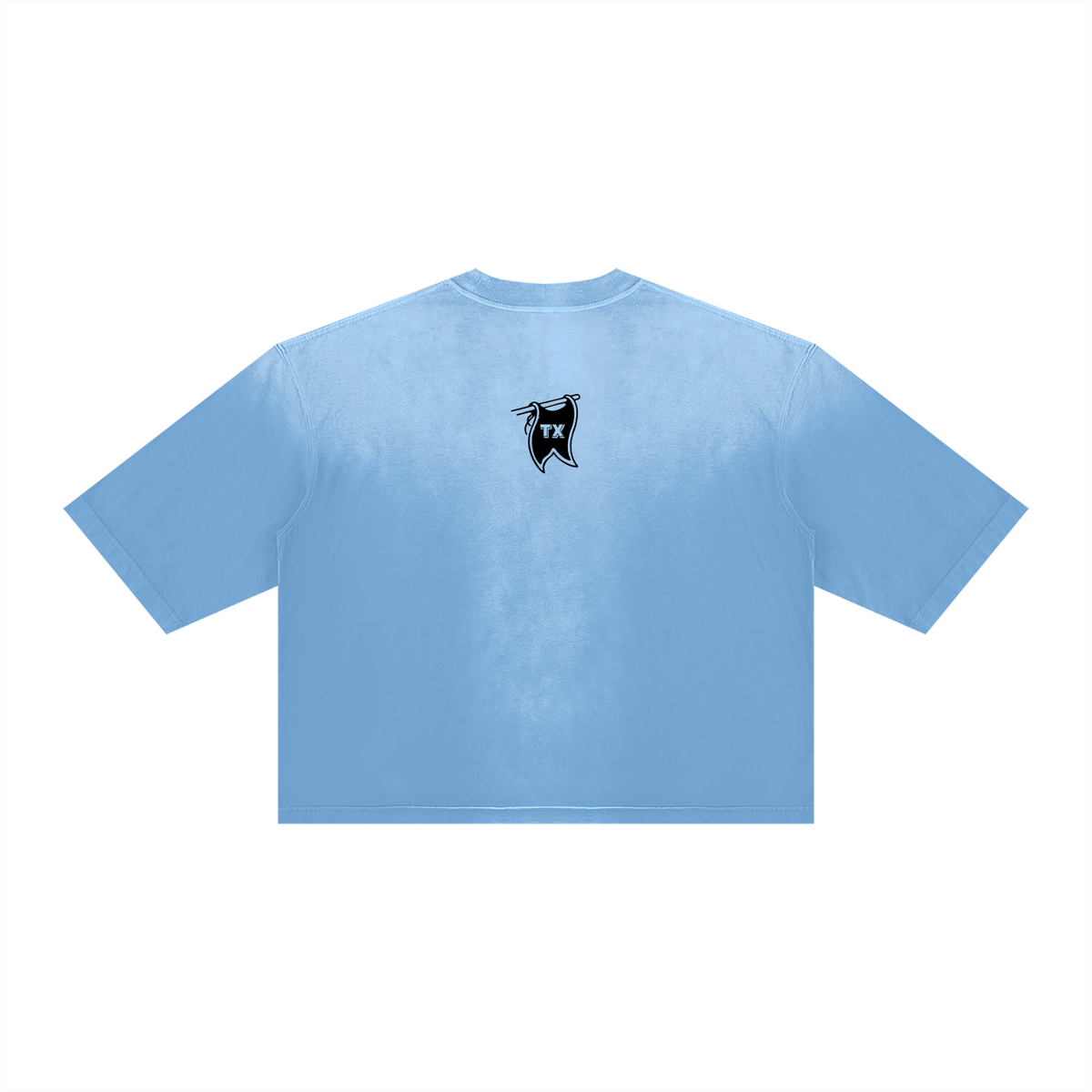 Argyle Champs Vintage Wash Sunfade Boxy Tee