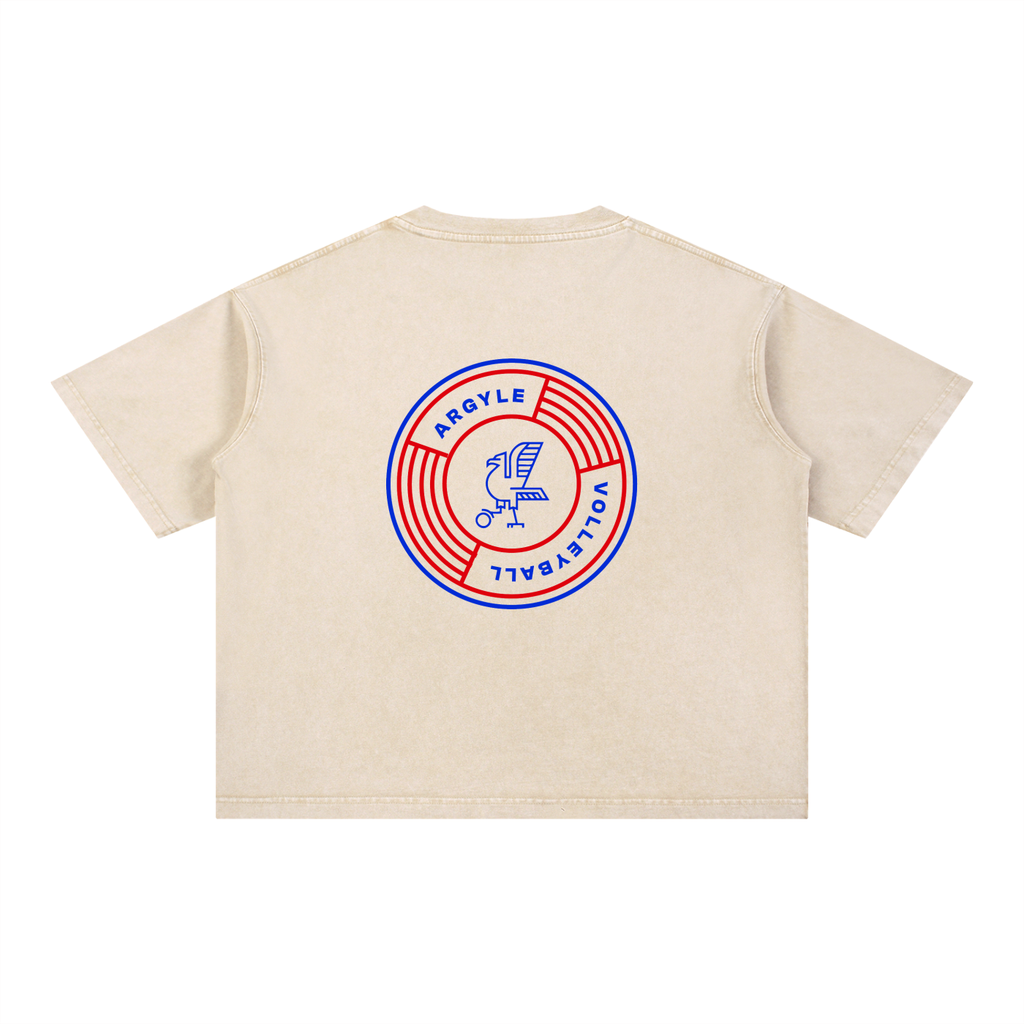 Argyle Volleyball Mineral Wash Boxy Cotton Tee