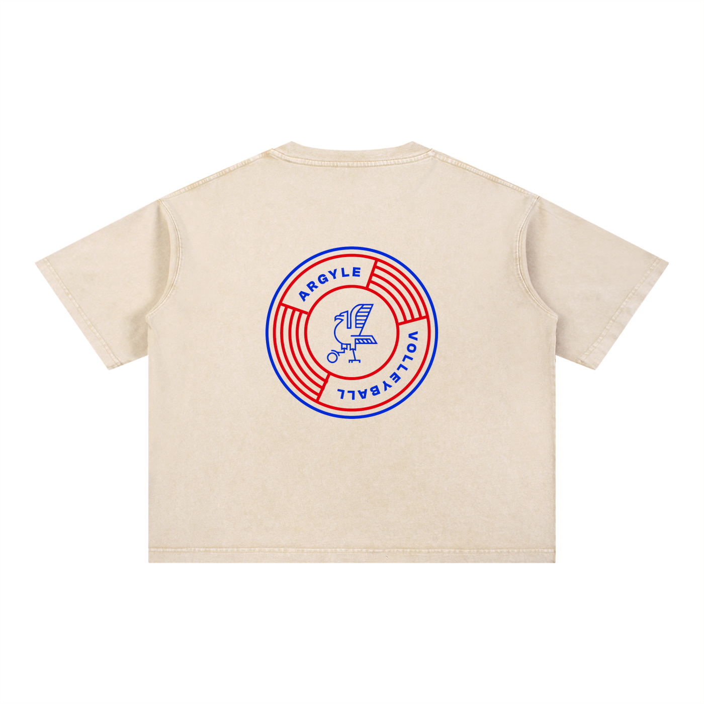 Argyle Volleyball Mineral Wash Boxy Cotton Tee