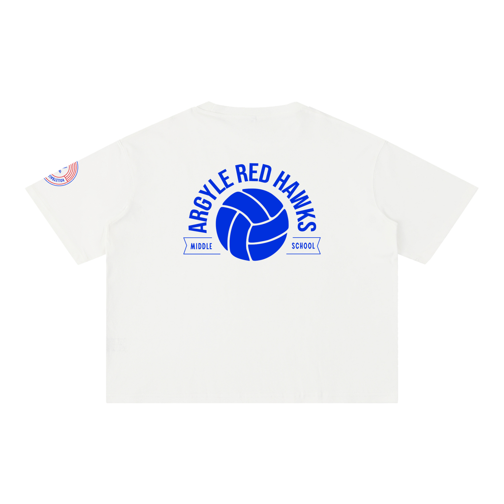 Womens AMS Volleyball Wash Boxy Cotton T-Shirt