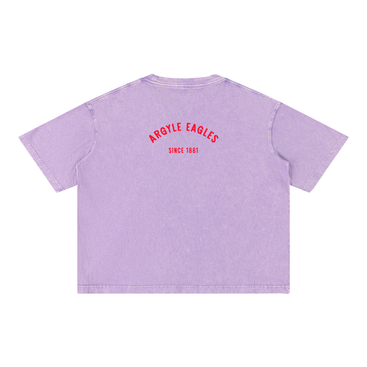 Argyle Eagles Mineral Wash Boxy Cotton Tee
