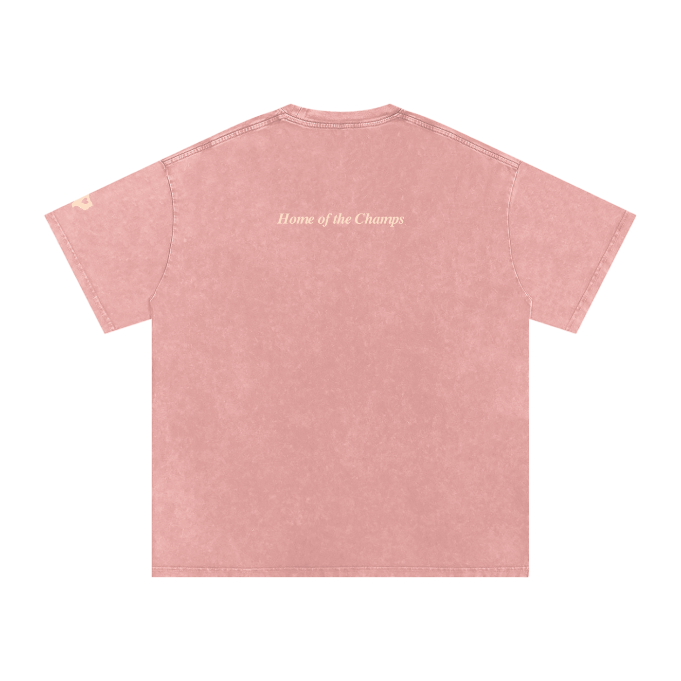 Unisex Champs Washed Oversized Cotton Tee
