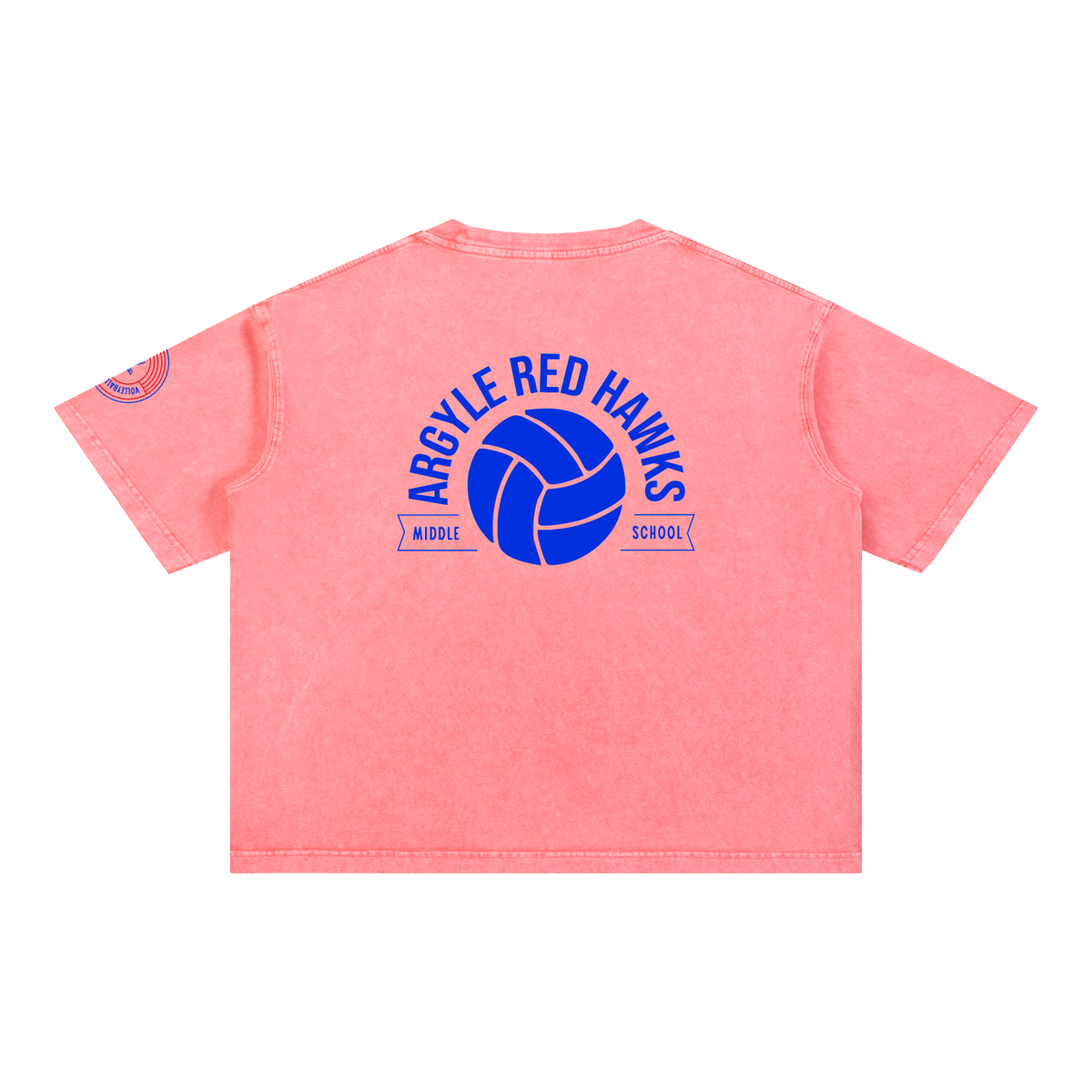 Womens AMS Volleyball Wash Boxy Cotton T-Shirt