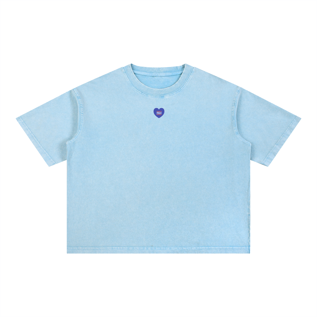 Argyle Volleyball Mineral Wash Boxy Cotton Tee