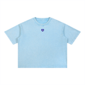 Argyle Volleyball Mineral Wash Boxy Cotton Tee