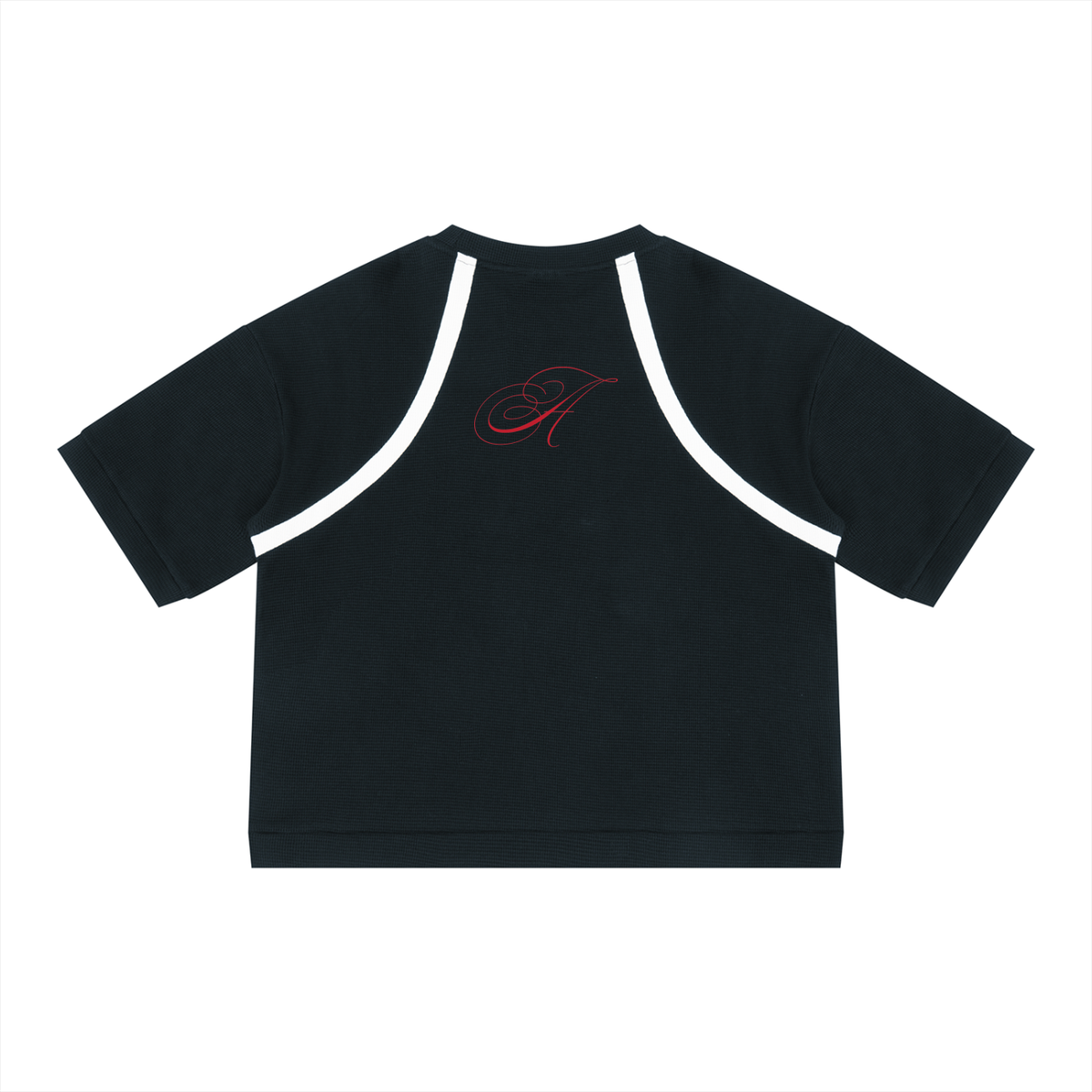 Argyle Eagles Color Block Boxy Tee