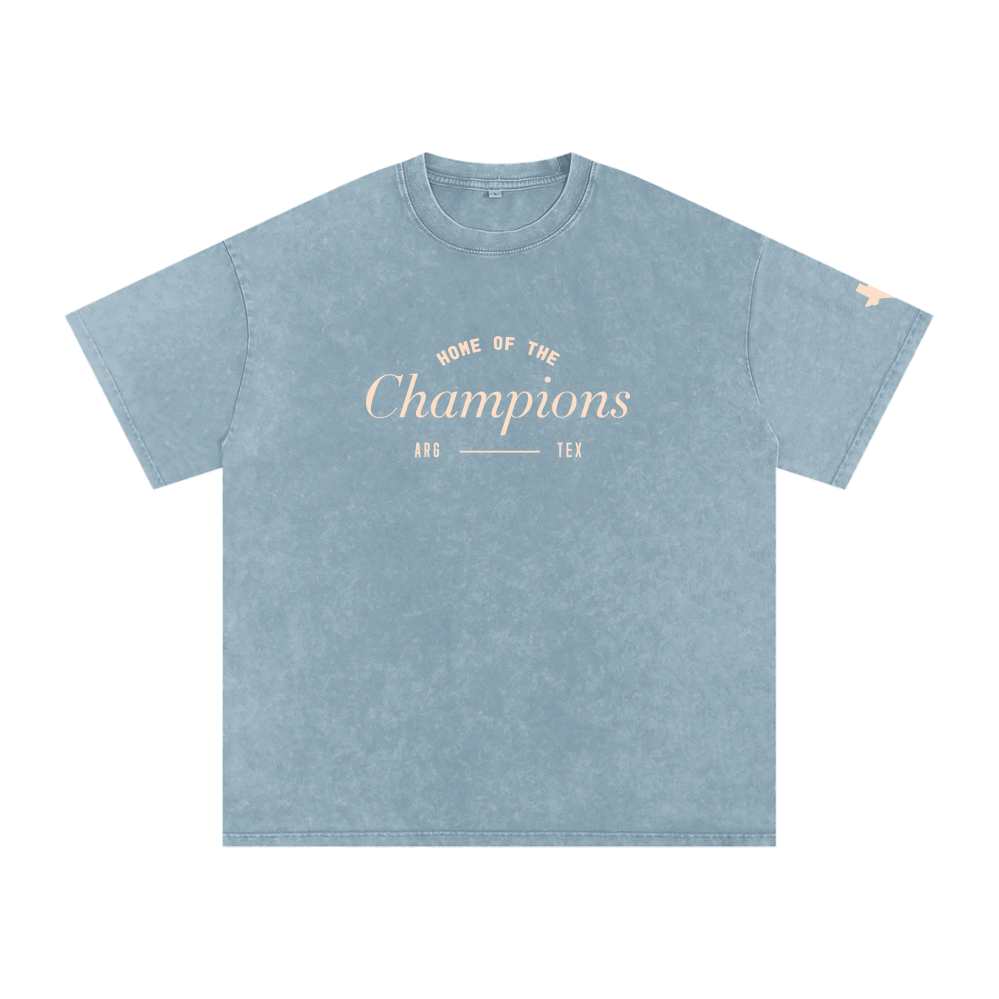 Unisex Champs Washed Oversized Cotton Tee