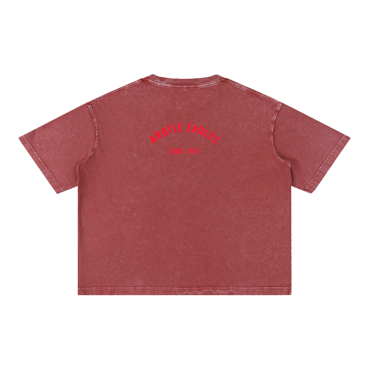 Argyle Eagles Mineral Wash Boxy Cotton Tee