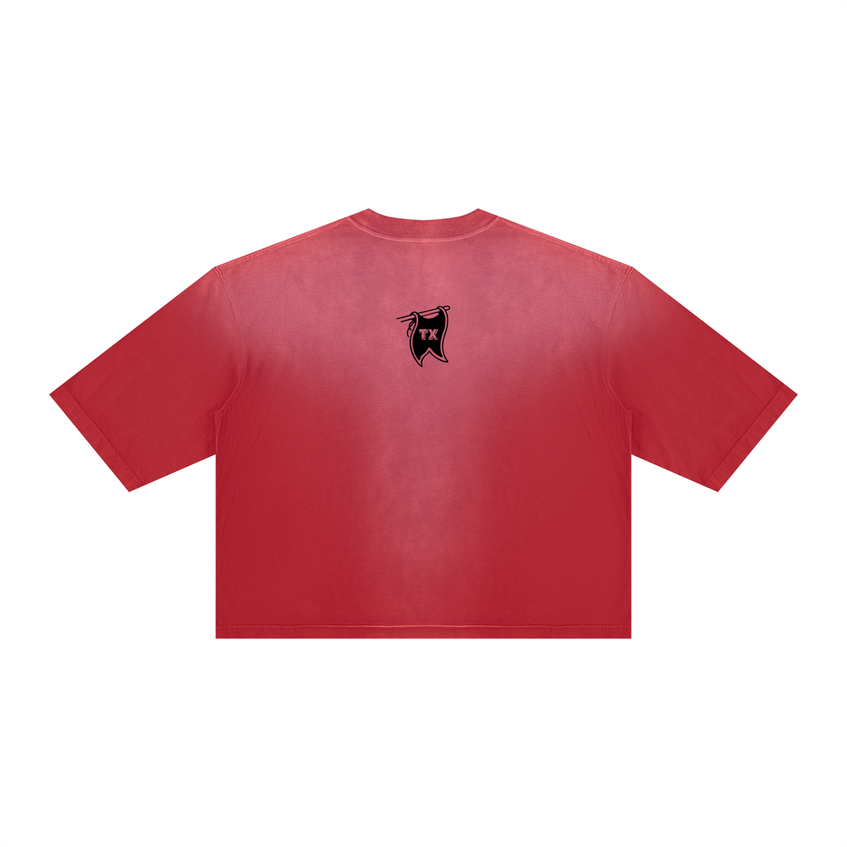 Argyle Champs Vintage Wash Sunfade Boxy Tee
