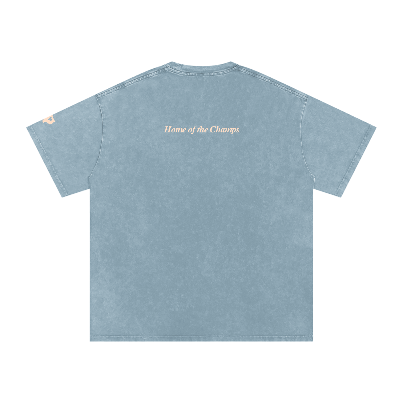 Unisex Champs Washed Oversized Cotton Tee