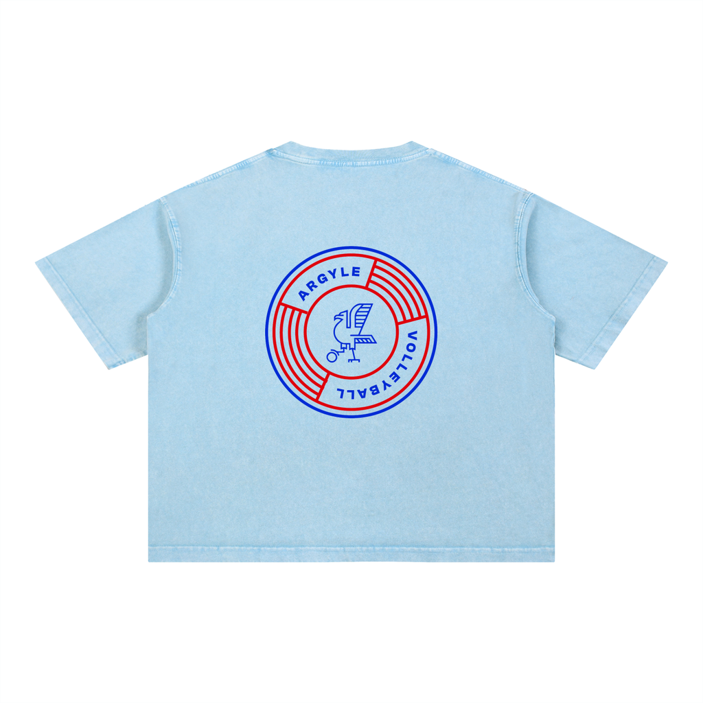 Argyle Volleyball Mineral Wash Boxy Cotton Tee