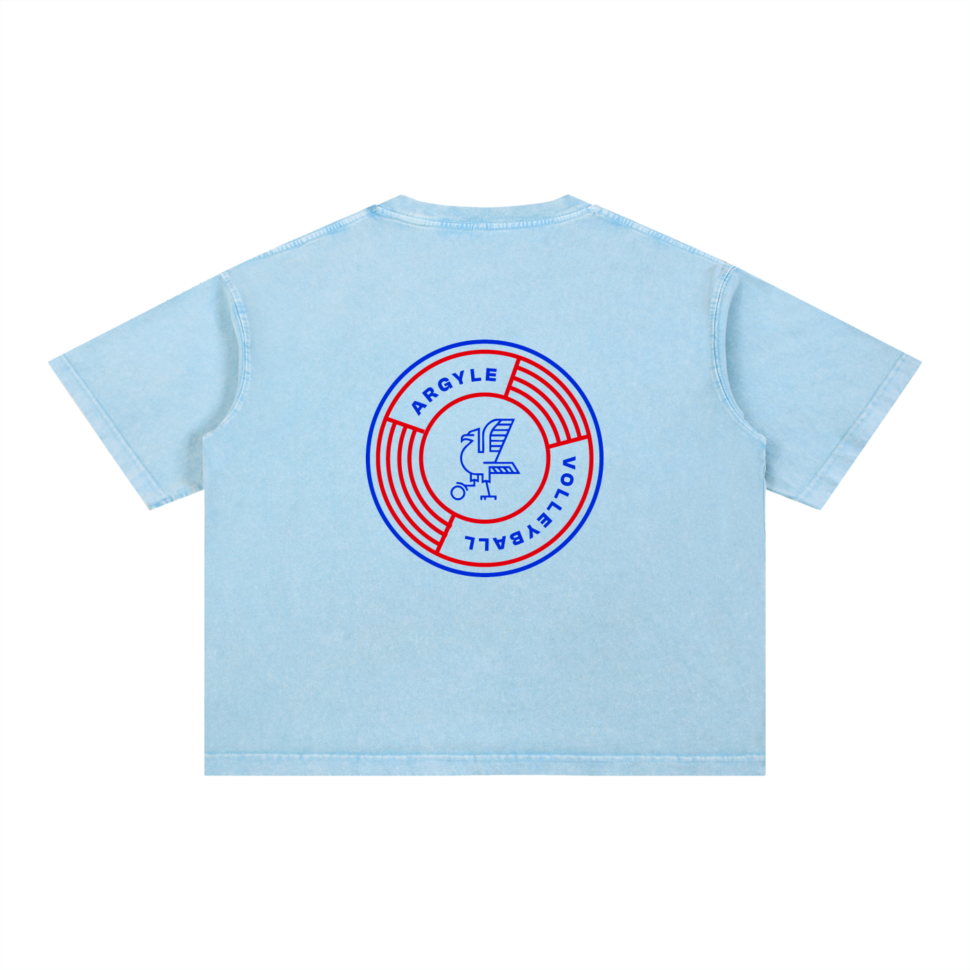 Argyle Volleyball Mineral Wash Boxy Cotton Tee