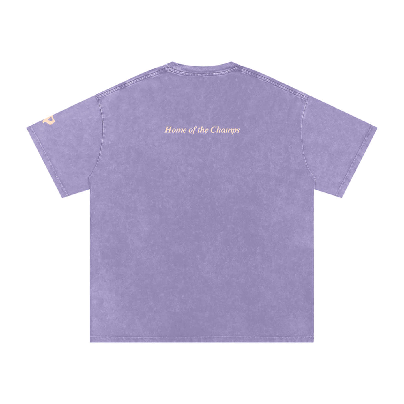 Unisex Champs Washed Oversized Cotton Tee