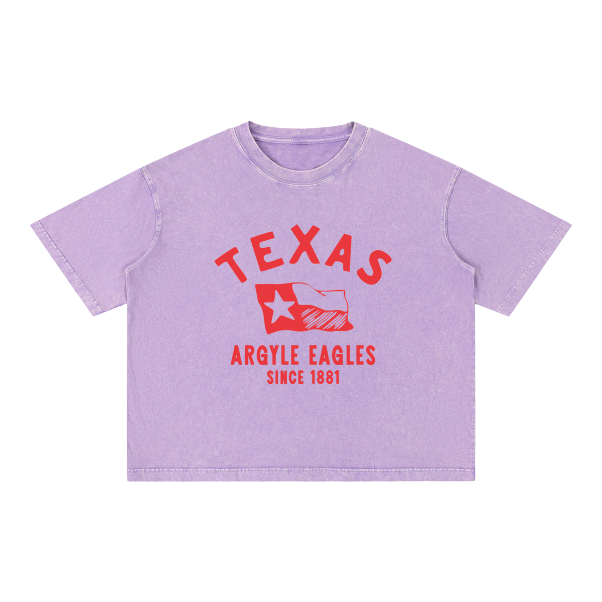 Argyle Eagles Mineral Wash Boxy Cotton Tee