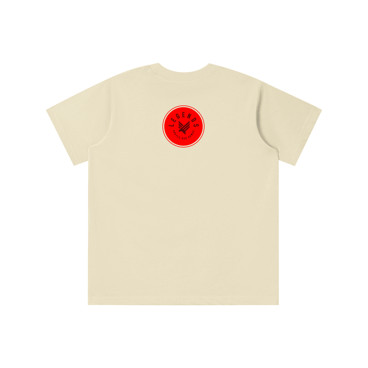 Youth AMS Lady Red Hawks Volleyball Tee