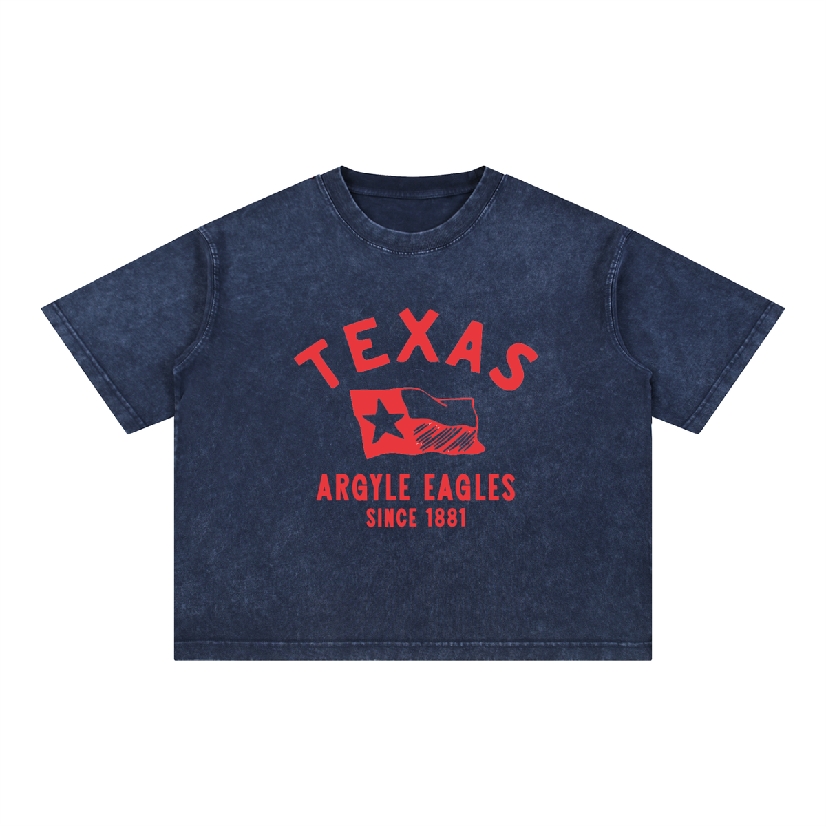Argyle Eagles Mineral Wash Boxy Cotton Tee