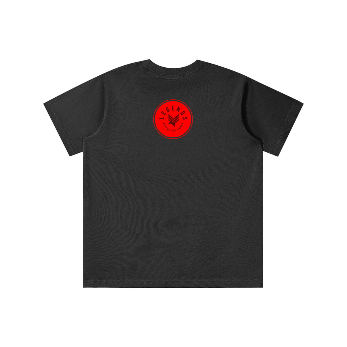 Youth AMS Lady Red Hawks Volleyball Tee