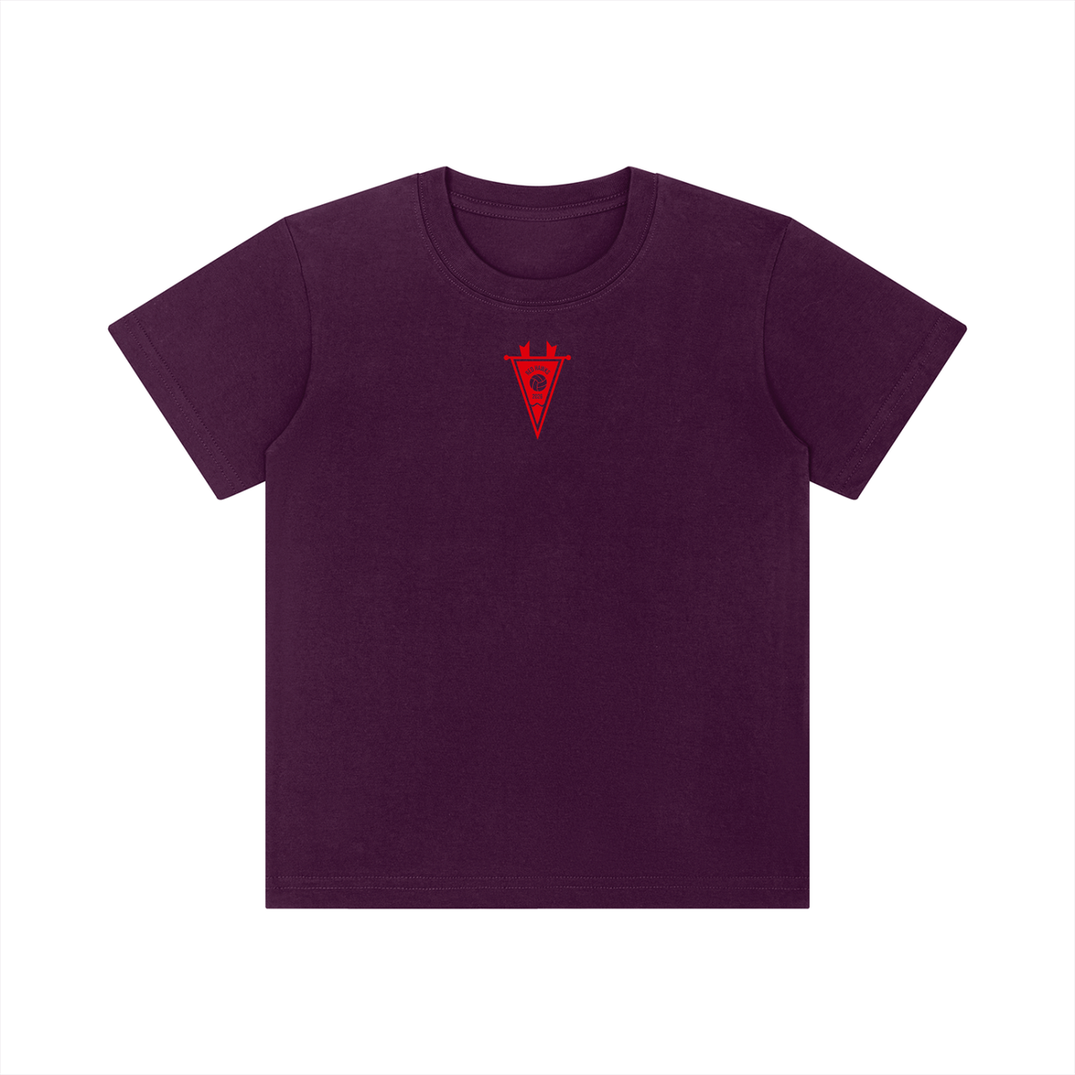 Youth AMS Volleyball Crewneck Short Sleeve Tee