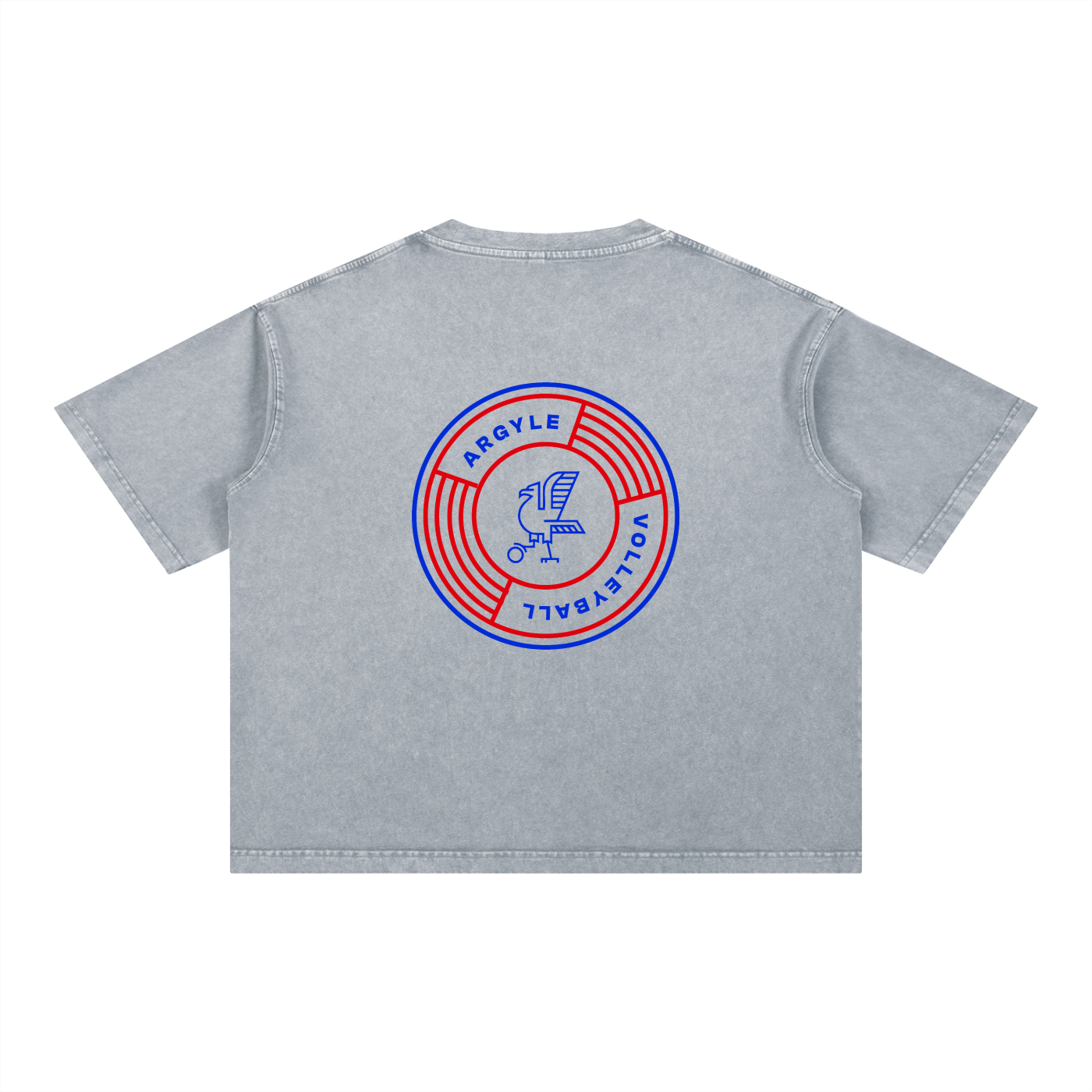 Argyle Volleyball Mineral Wash Boxy Cotton Tee